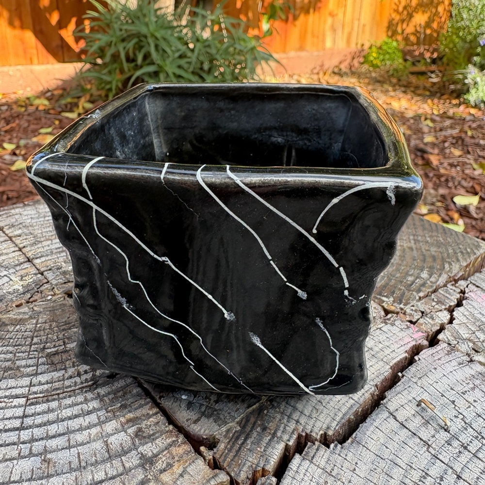 Black Ceramic Planter with White Accents